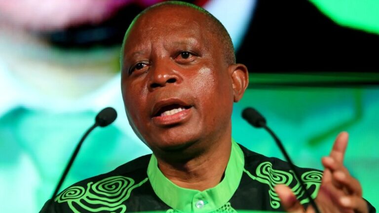South Africa's Immigration Crisis: Political Parties Clash Over Ramaphosa's Address