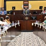 South Africa's Phala Phala Probe: Rise Mzansi's Makashule Gana Elected to Lead Impeachment Committee