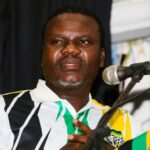 ANC Chief Whip Rejects Xenophobia But Calls for Regional Solutions Amid Anti-Migrant Violence