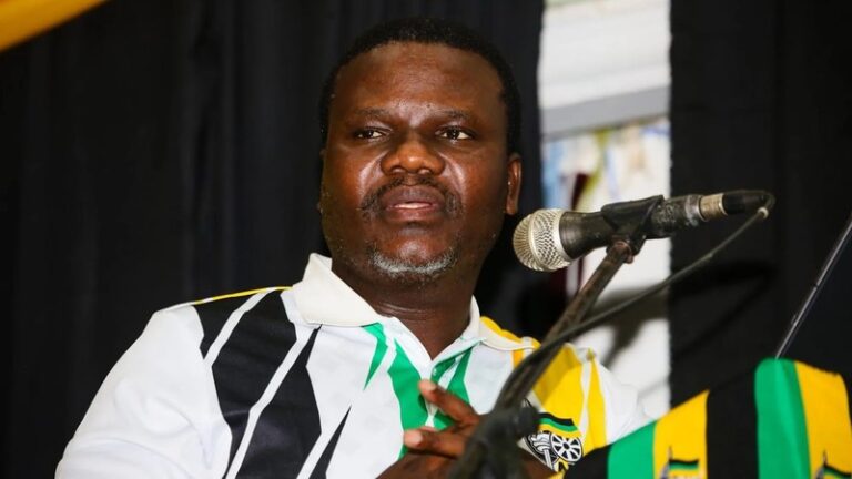 ANC Chief Whip Rejects Xenophobia But Calls for Regional Solutions Amid Anti-Migrant Violence