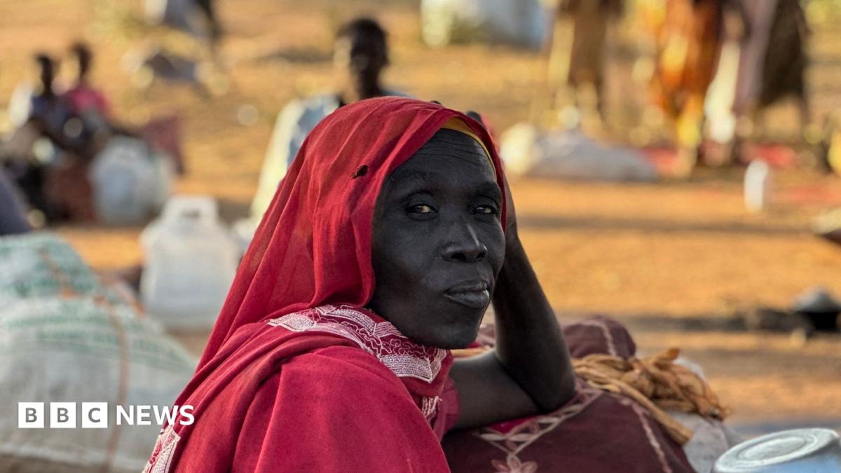 ICC Declares Breakthrough in Sudan War Crimes Investigation, Linking RSF Leaders to Darfur Massacres