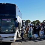 South Africa's Labour Market Crisis: How the Anti-Immigration Wave Is Exposing Deep Economic Fractures