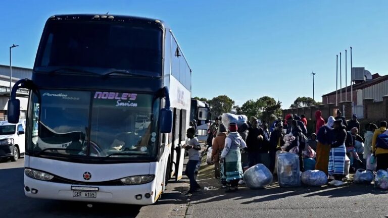 South Africa's Labour Market Crisis: How the Anti-Immigration Wave Is Exposing Deep Economic Fractures