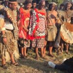 King Misuzulu Pays 70 Cattle for Fourth Wife as Zulu Royal Wedding Preparations Begin