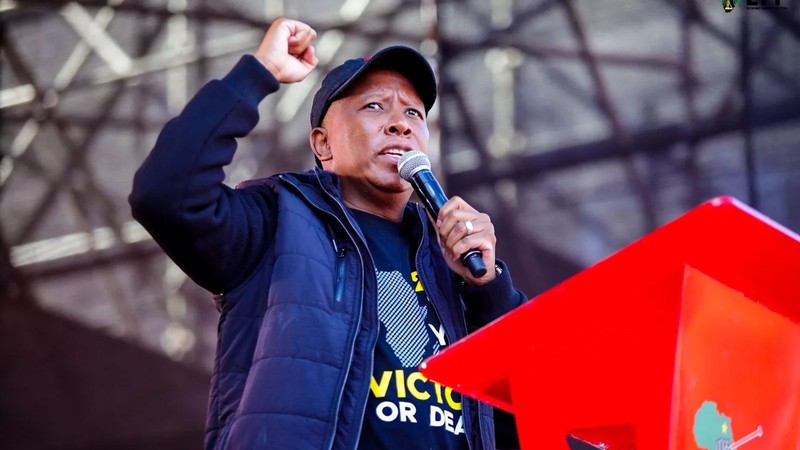 The EFF Takes the Fight for Parliamentary Accountability to the Constitutional Court