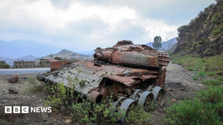 Northern Ethiopia on the Brink: What the Tigray Clashes Mean for the Region