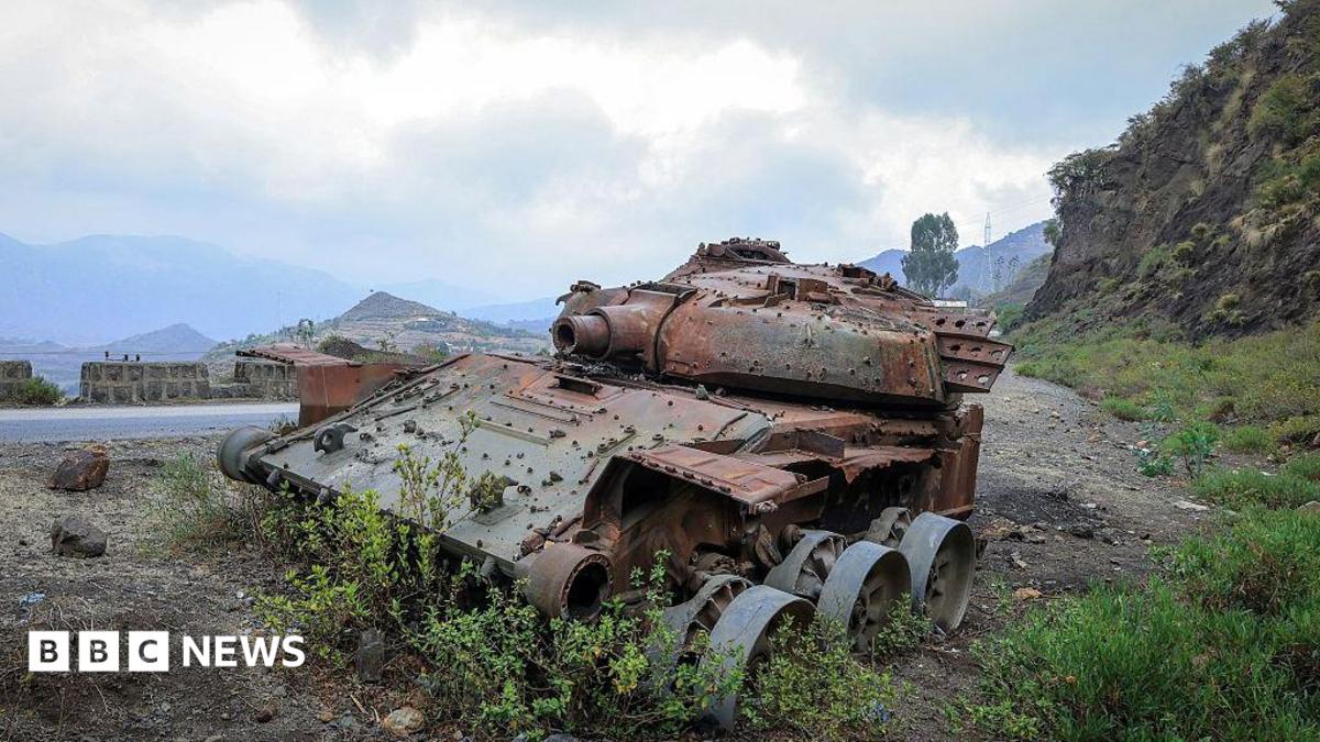 Northern Ethiopia on the Brink: What the Tigray Clashes Mean for the Region