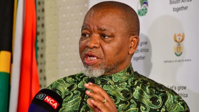 ANC's Mantashe Fires Back at Vote-Buying Accusations Over RDP Houses and Social Grants