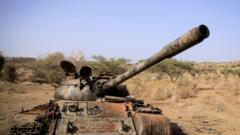 Ethiopia's Alliance for Survival: Seven Rebel Groups Unite Against Abiy Ahmed's Government