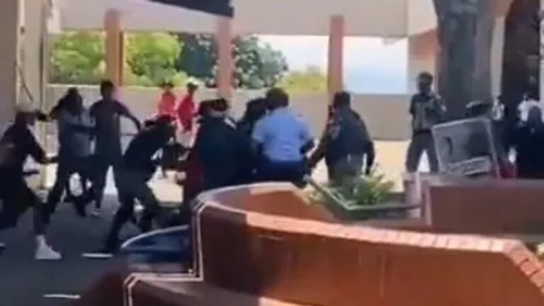 UKZN Westville Campus Erupts in Violence After EFF Youth Command Disputes SRC Election Results